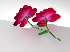 3d rose 3D Model