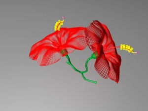 chinarose 3D Model