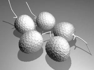 lichi 3D Model