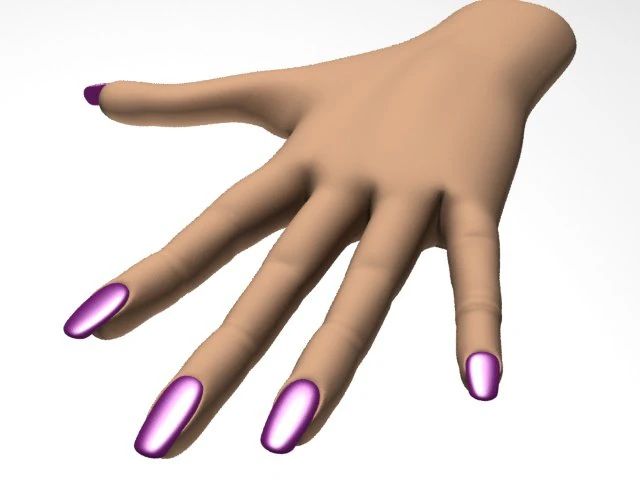 female hand 3D Model .c4d .max .obj .3ds .fbx .stl .blend 