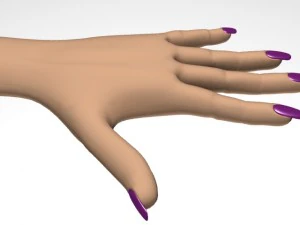 female hand 3D Model
