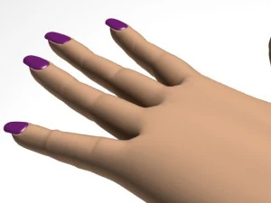 female hand 3D Model