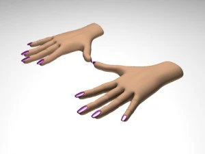 female hand 3D Model