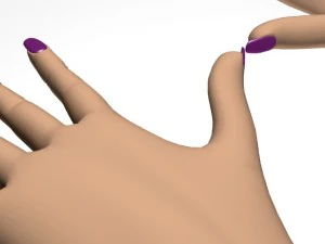 female hand 3D Model