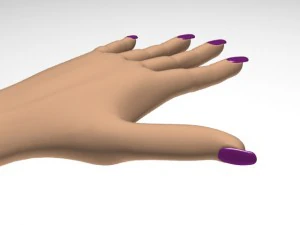 female hand 3D Model