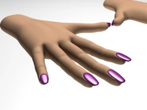 female hand 3D Model