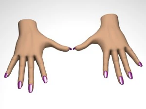 female hand 3D Model