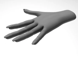 female hand 3D Model