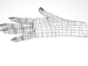 female hand 3D Model