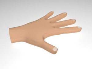 male hand 3D Модель