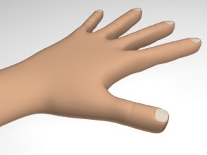 male hand Model 3D