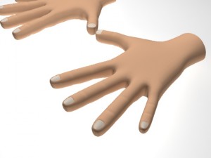 male hand Model 3D