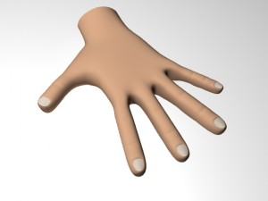 male hand Model 3D