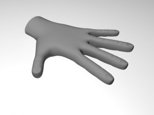 male hand Model 3D