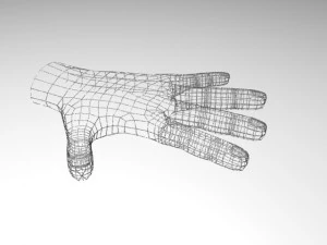 male hand 3D Model