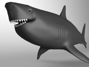 megalodon-shark Model 3D
