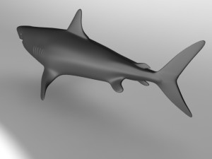 megalodon-shark Modello 3D
