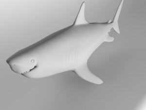 megalodon-shark Modello 3D
