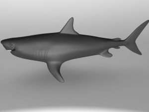 megalodon-shark Modello 3D