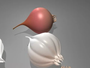 onion and garlic 3D Model