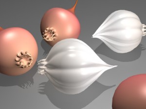 onion and garlic Modelo 3D