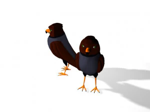 Cartoon Eagle 3D Model