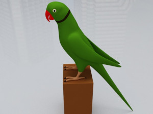 Green Parrot 3D Модель