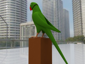 Green Parrot 3D 模型