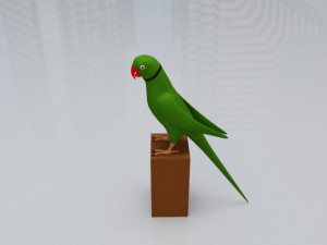 Green Parrot 3D 模型