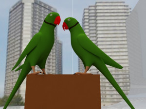 Green Parrot 3D 模型