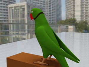 Green Parrot 3D 模型