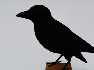 Crow 3D-Modell