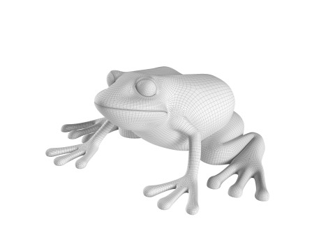 Frog Harry Potter 3D Druckmodell