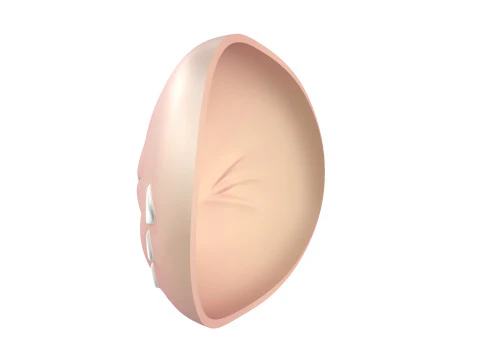Face Labubu - Laughing 3D Print Model