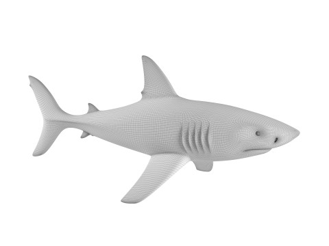 Shark 3D Принт Модель