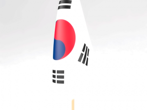 office flag korea Modelo 3D