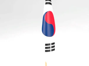 office flag korea 3D Model