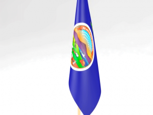 office flag kansas Modèle 3D