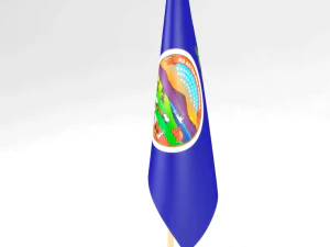 office flag kansas 3D Model