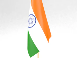 ofis bayrağı hindistan 3D Model