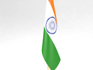 office flag india 3D Model