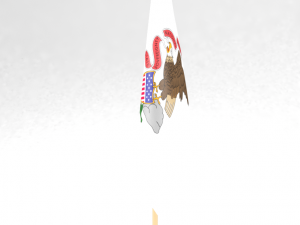 office flag illinois 3D Model
