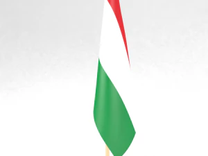 office flag hungary 3D Model