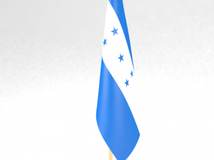 office flag honduras 3D Model