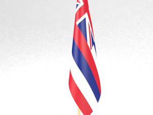 office flag hawaii Model 3D