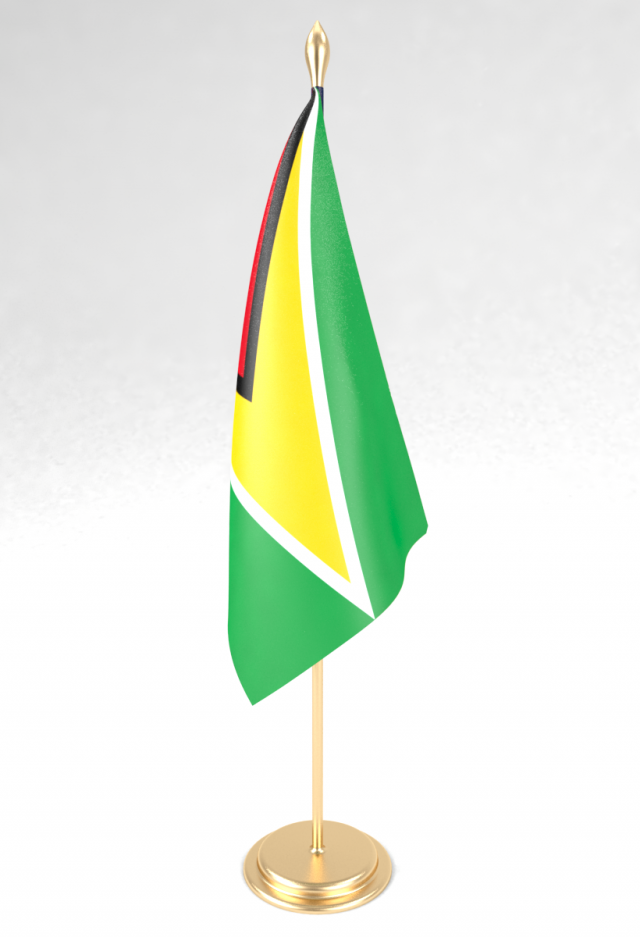 office flag guyana 3Dモデル .c4d .max .obj .3ds .fbx .stl .blend 