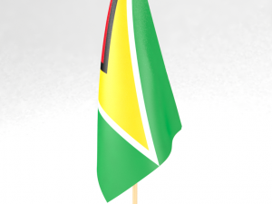 office flag guyana 3Dモデル