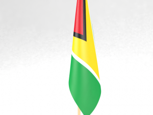 office flag guyana 3Dモデル