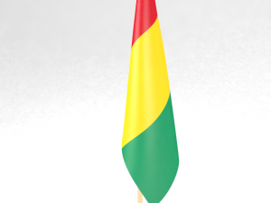 office flag guinea Model 3D