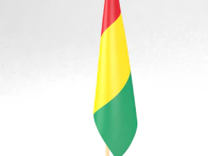 office flag guinea 3D Model